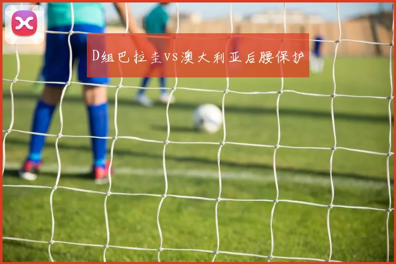 D组巴拉圭vs澳大利亚后腰保护