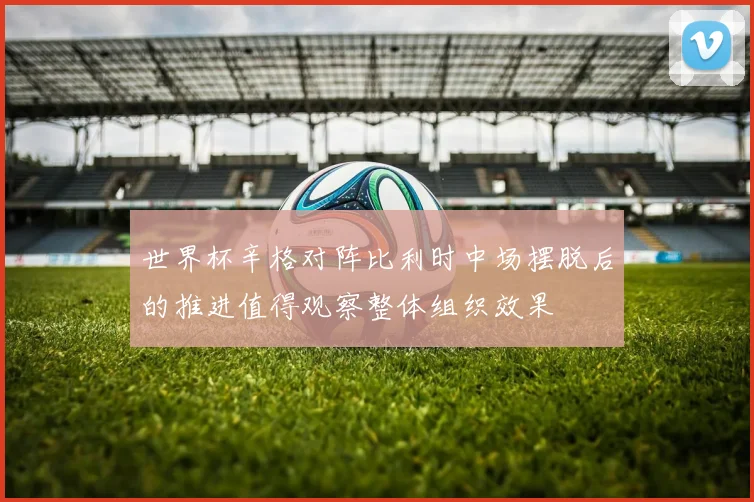 世界杯辛格对阵比利时中场摆脱后的推进值得观察整体组织效果