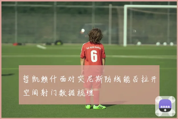 哲凯赖什面对突尼斯防线能否拉开空间射门数据梳理