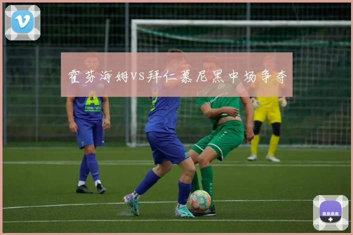 霍芬海姆vs拜仁慕尼黑中场争夺