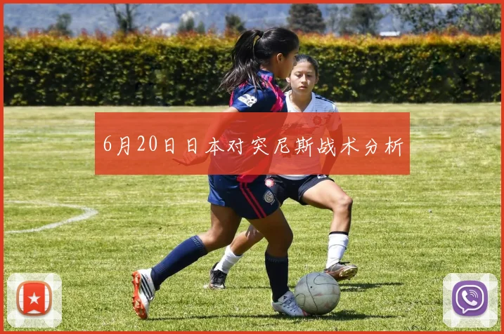 6月20日日本对突尼斯战术分析