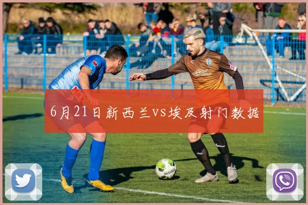 6月21日新西兰vs埃及射门数据