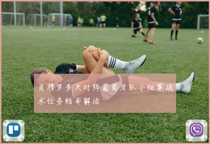 肖穆罗多夫对阵葡萄牙队小组赛战术任务赔率解读